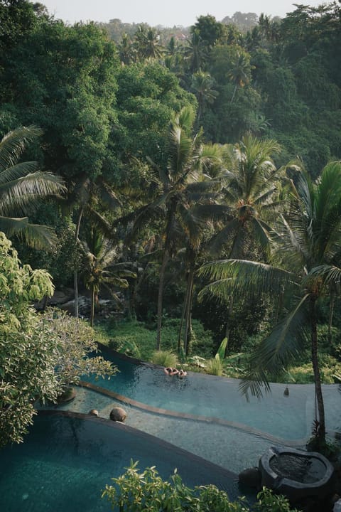 Pool view, River view, Swimming pool