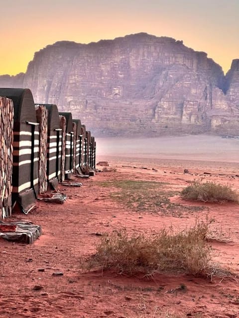 Wadi Rum Budget Camp Luxury tent in South District