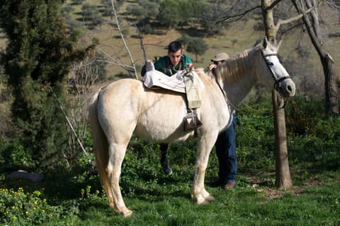 Cortijo El Berrocal Maison de campagne in Cazalla de la Sierra