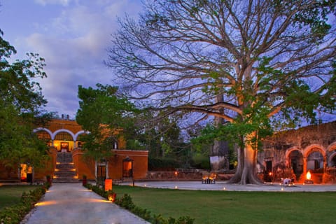 Facade/entrance, Night, Natural landscape, Garden, Garden view