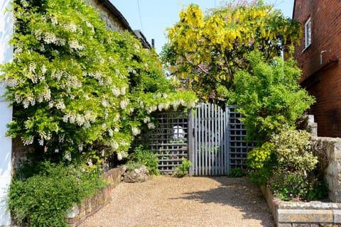 Grove Cottage House in Freshwater