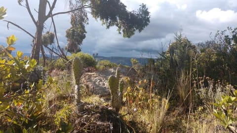 Natural landscape, Hiking, Mountain view