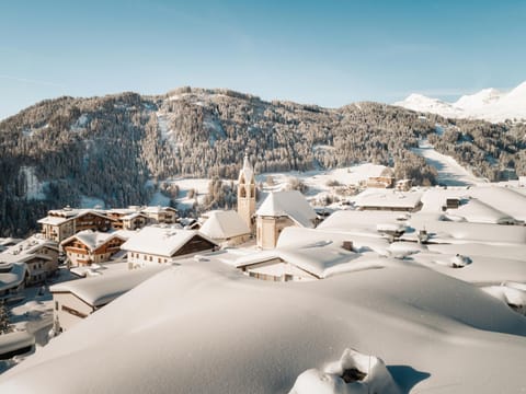 Natural landscape, Winter