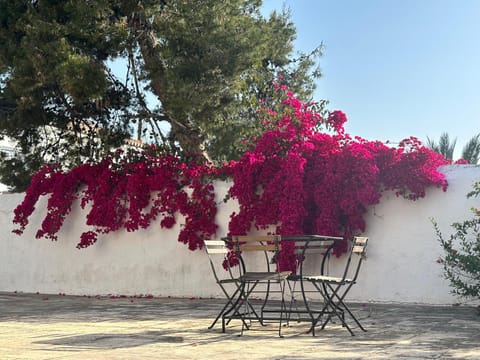 Two Olive Trees Landhaus in Spetses
