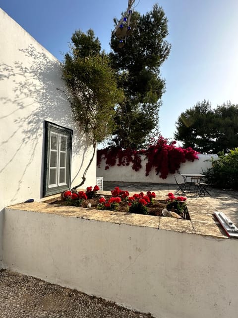 Two Olive Trees Maison de campagne in Spetses