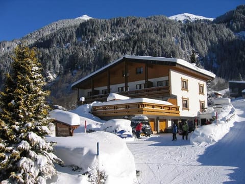 Property building, Winter