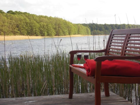 Lake view