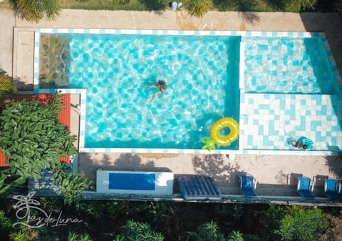 Day, Garden, Garden view, Pool view, Swimming pool