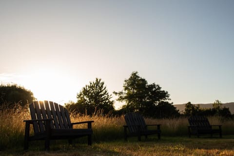 Patio, Off site, Natural landscape, Summer, Garden, Sunset