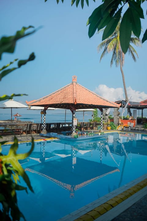 Day, Pool view, Swimming pool