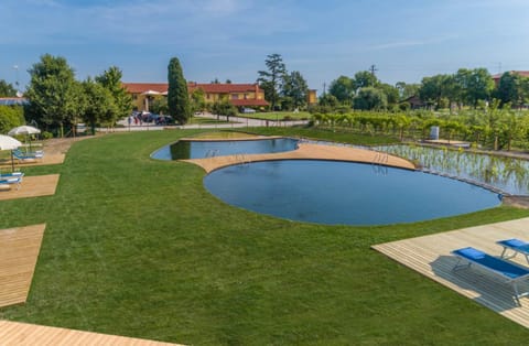 Garden, Pool view, Swimming pool