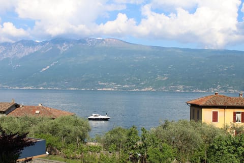 Lake view
