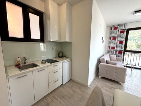 Villa Mona 2 Apartment in Budva Municipality