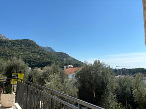 Villa Mona 2 Apartment in Budva Municipality