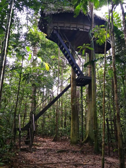 Reserva Natural Tanimboca Nature lodge in Leticia