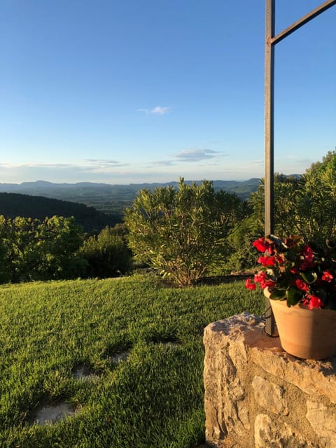 Natural landscape, Garden, Garden view