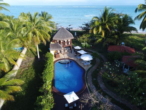 Bird's eye view, Pool view, Sea view