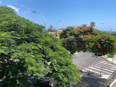 Natural landscape, Garden view