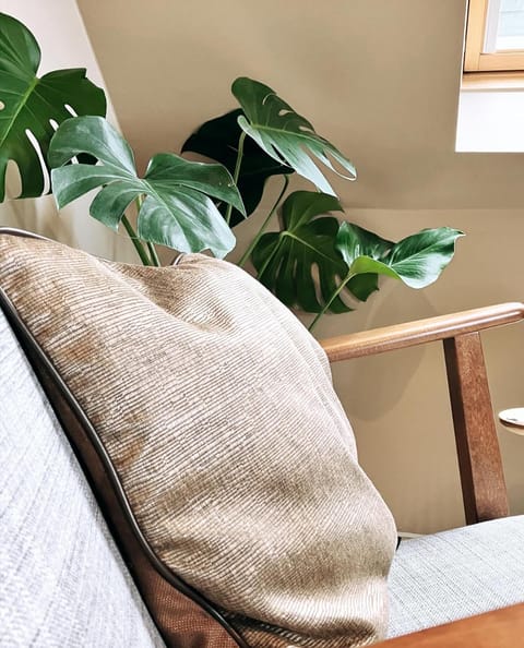 Domus Portus Bed and Breakfast in Flanders