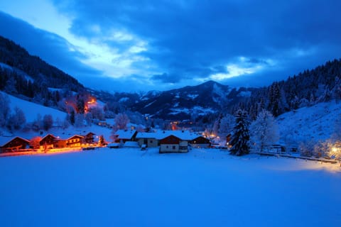 Winter, Garden view, Lake view, Mountain view