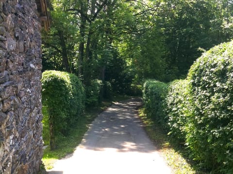 Natural landscape, Garden, Garden view