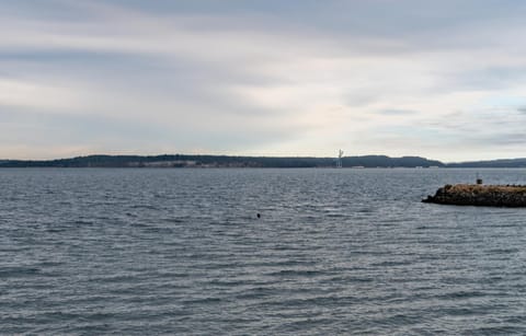 Water Front Inn Inn in Port Townsend