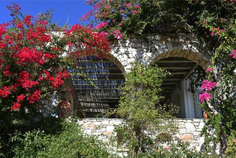 Paros Naoussa Country house SELANA Country House in Paros, Greece