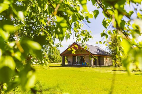 Property building, Spring, Day, Natural landscape, Garden, Garden view