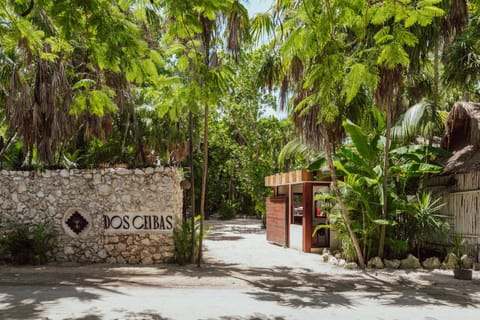 Dos Ceibas Tulum Feel Good Hotel Hôtel in State of Quintana Roo