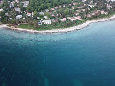 Bird's eye view, Location