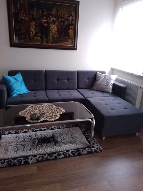 Alina Apartment in Lithuania