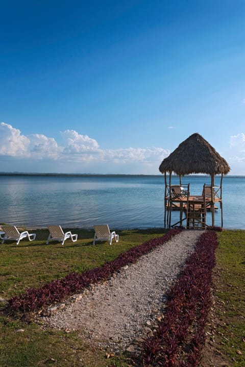 Natural landscape, Beach, Lake view