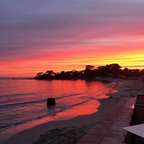 Restaurant/places to eat, Sea view