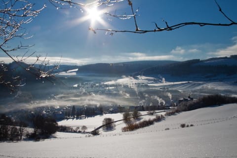 Natural landscape, Winter