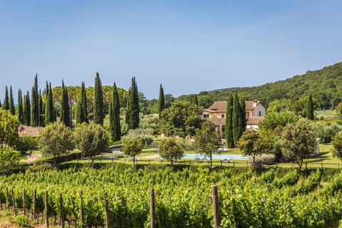 Il casale degli olivi Farm Stay in Tuscany