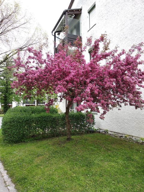 Property building, Patio, Garden