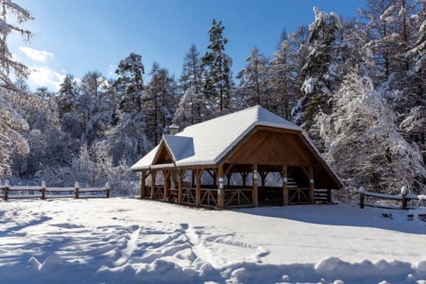 POŁONINY Resort Bed and Breakfast in Slovakia