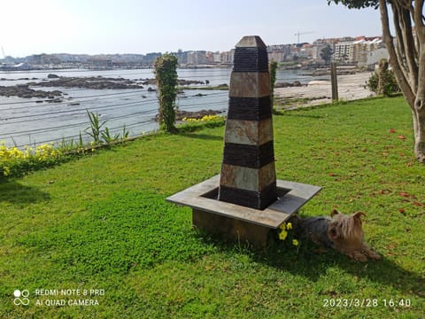 Garden, Garden view, Sea view