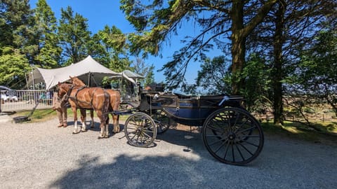 Wheal Tor Hotel & Glamping Nature lodge in England