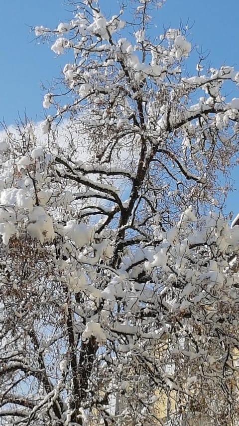 Natural landscape, Winter