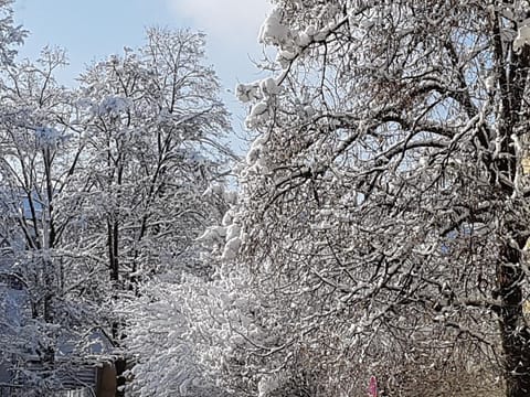 Natural landscape, Winter