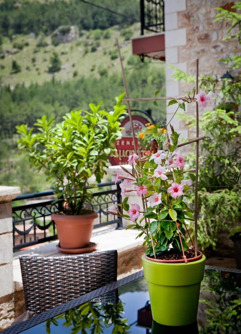 Patio, Facade/entrance, View (from property/room), Balcony/Terrace, Balcony/Terrace