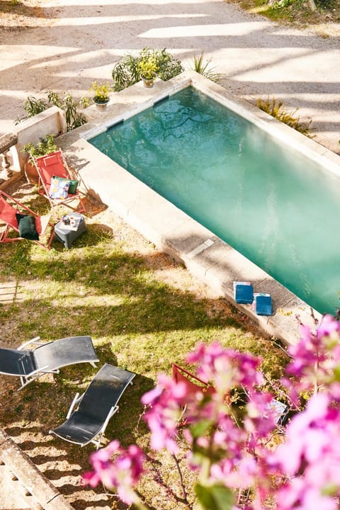 Garden, Garden view, Pool view, Swimming pool, sunbed