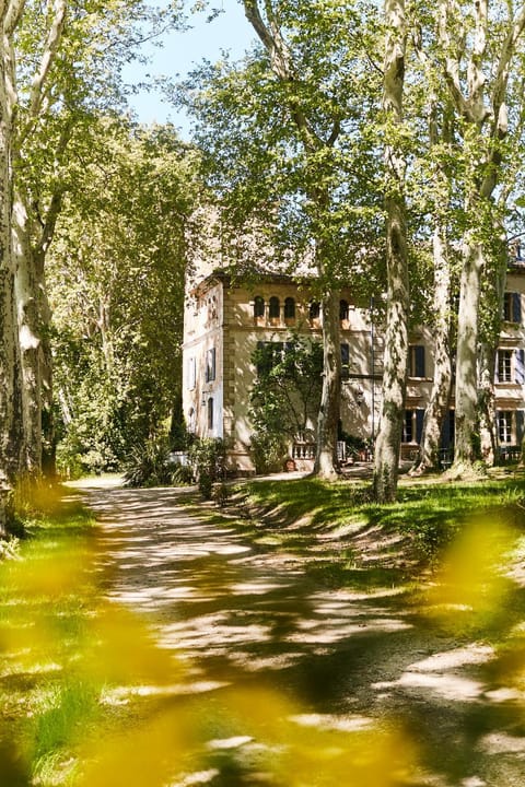 Property building, Garden, Garden view