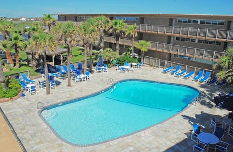 Bird's eye view, Swimming pool