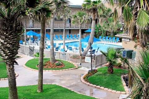 Bird's eye view, Pool view