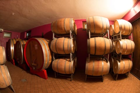 Activities, Alcoholic drinks