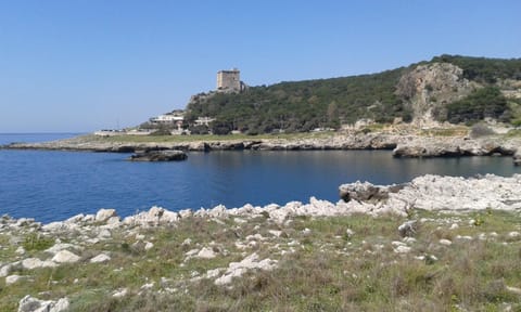 Nearby landmark, Natural landscape, Beach