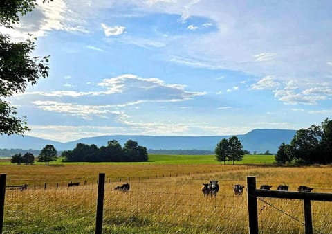 Natural landscape, View (from property/room), View (from property/room), Mountain view