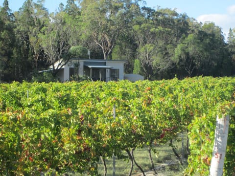 Just Red Wines Cabins Aufenthalt auf dem Bauernhof in Ballandean